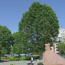 Vukovar