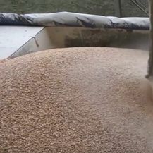 Ukrajina pokušava izvesti blokiranu pšenicu - 1