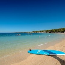Zlatna plaža na otoku Pagu