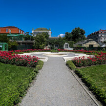Lipanjska čarolija Botaničkog vrta u Zagrebu - 14