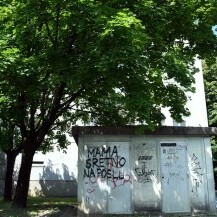 Grafit s porukom