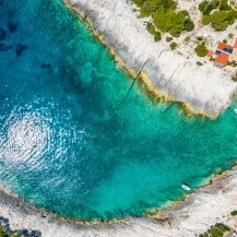 Mala Travna, Vis