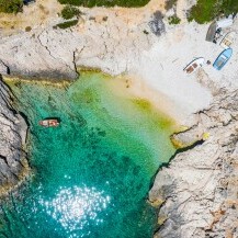 Mala Travna, Vis