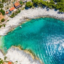 Mala Travna, Vis