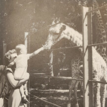 Zoološki vrt 1955. godine