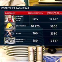 Radnike uvozimo, a na Zavodu čekaju (Foto: Dnevnik.hr) - 9