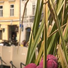 Samobor - 3