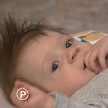 Provjereno o palčićima rođenima prije potresa - 26