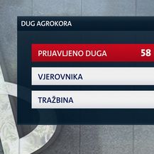Nagodba u Agrokoru dovedena u pitanje (Foto: Dnevnik.hr)