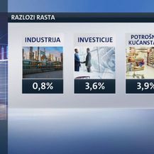 BDP raste, a izvoz pada (Foto: Dnevnik.hr) - 2