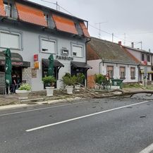 Srušeno stablo u centru Đakova (Foto: Facebook) - 4