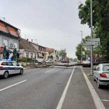 Srušeno stablo u centru Đakova (Foto: Facebook) - 5