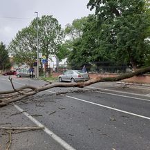 Srušeno stablo u centru Đakova (Foto: Facebook) - 7