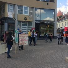 Prosvjed za klimu (Foto: Dnevnik.hr)