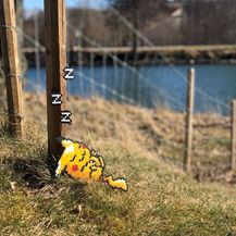 Vandalizam (Foto: Instagram/pappasparlor) - 4