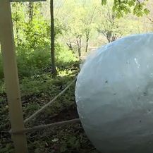 Divovska krunica u Baranji - 3