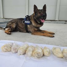 Njemački ovčar Wolf na granici pronašao kilogram heroina - 3