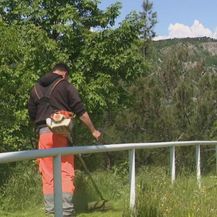 Košenje trave