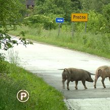 Umirovljeni brigadir prijetio ekipi Provjerenog - 1