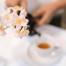Japanci pažljivim odabirom koraka pripreme čaja potiču načela harmonije, poštovanja, čistoće i mira