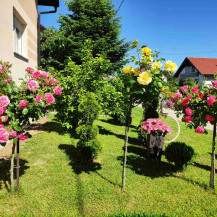 Marija Ričko ima najljepše dvorište u okolici Ludbrega - 2