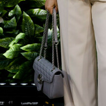 Ivana Vrdoljak Vanna nosi Guccijevu sivu torbicu