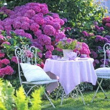 Prekrasni vrtovi s hortenzijama - 9