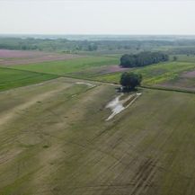 U Baranji procvjetao biznis s makom - 1