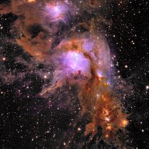 Nove slike europskog teleskopa Euklid, rasadnik zvijezda Messier 78