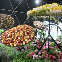 Floraart 2025.
