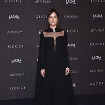 Dakota Johnson (Foto: Chris Delmas / AFP)