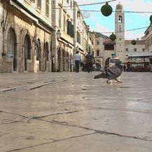 Mljet (Foto: Dnevnik.hr) - 2