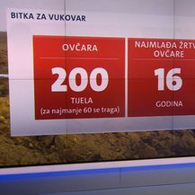 Stradali u Vukovaru u brojkama - 6