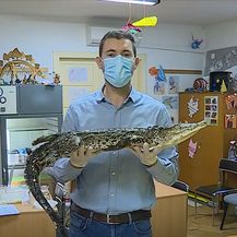 Mario Jurič s krokodilom