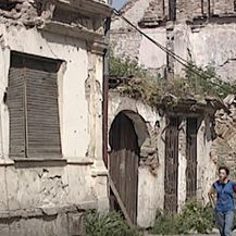 Željka Jurić Mitrović