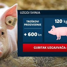 Poskupljenje piletine i svinjetine - 2