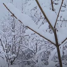 Snijeg u Dalmaciji - 2