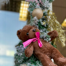 Cvjećarnica Florista u Osijeku oduševljava svojim božićnim uređenjem