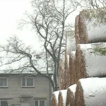 Život s ratom u susjedstvu - 3
