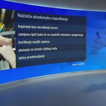 Videozid, Romina Knežić: Plagiranje - 4