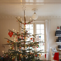 Božićna drvca s rijetkim granama - 5
