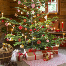 Božićna drvca s rijetkim granama - 10
