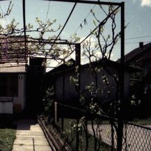 Srđan Mlađan - čovjek od čijeg skorog izlaska iz zatvora strepe svi (Foto: Dnevnik.hr) - 4