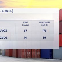 Uvoz i izvoz mesa u prvih šest mjeseci 2018. godine (Foto: Dnevnik.hr)