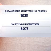 Grafika organiziranog stanovanja (Foto: Dnevnik.hr)