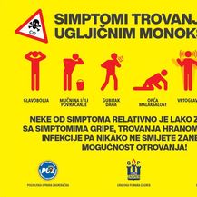 Simptomi trovanja ugljikovim monoksidom (Screenshot: Gradska plinara Zagreb)