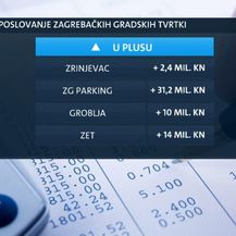 Poslovanje zagrebačkih gradskih tvrtki (Foto: Dnevnik.hr) - 1