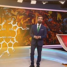 Darijo Brzoja o razlozima zbog kojih lišće mijenja boju (Foto: Dnevnik.hr) - 4
