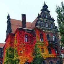 Jesen u mom kraju (Foto: Reddit) - 18