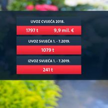Uvoz cvijeća i svijeća (Foto: Dnevnik.hr)